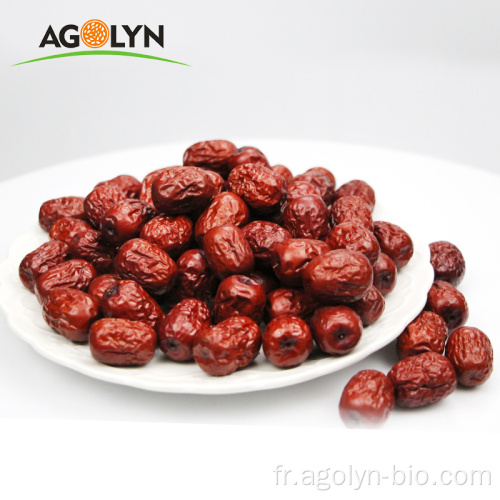 Nouveaux Dates Rouge Dates séchées Jujube séché à la vente